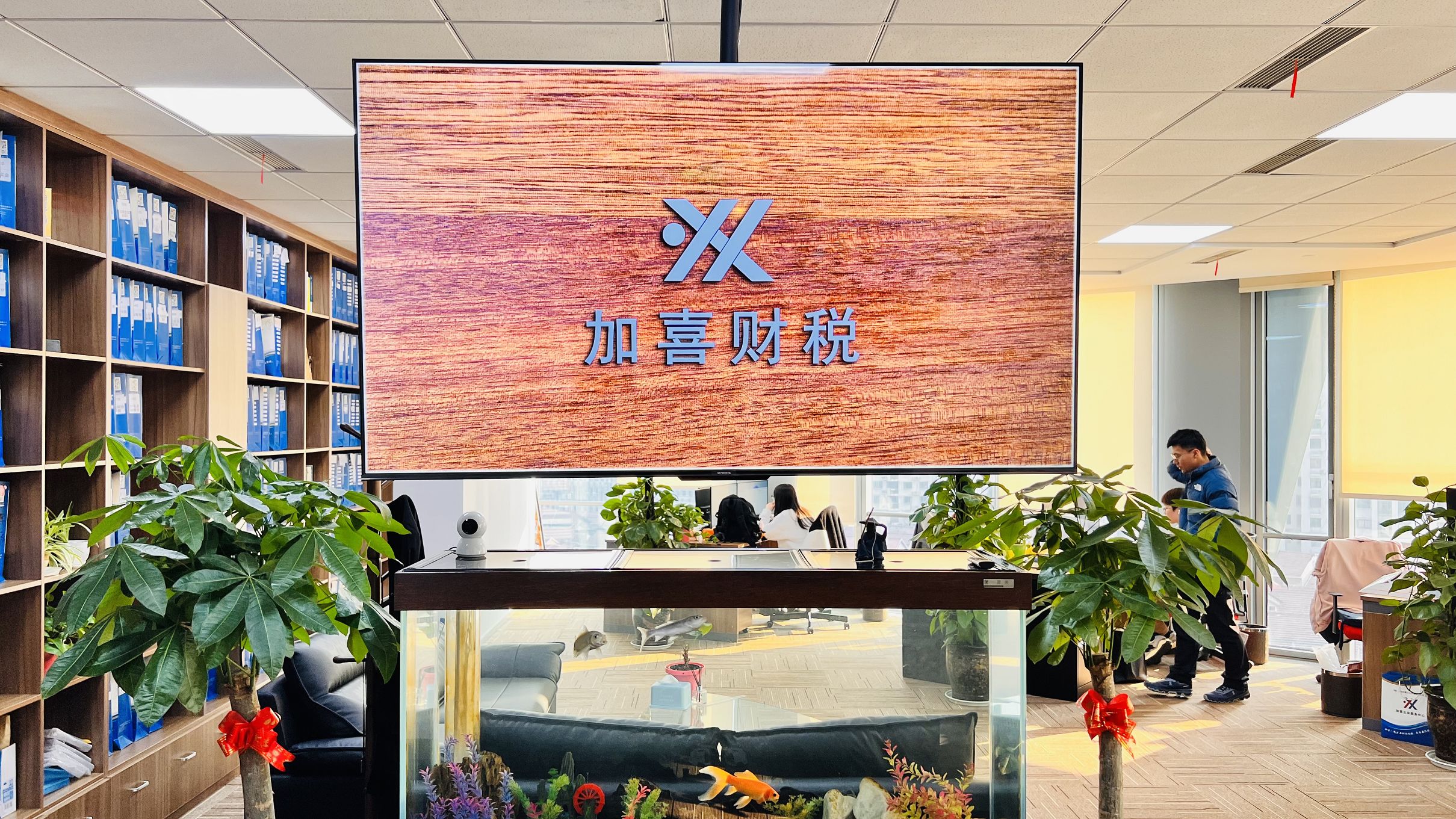 公司注册